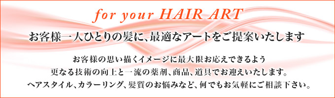 ヘアアートは お客様一人ひとりの髪に、最適なアートをご提案いたします。